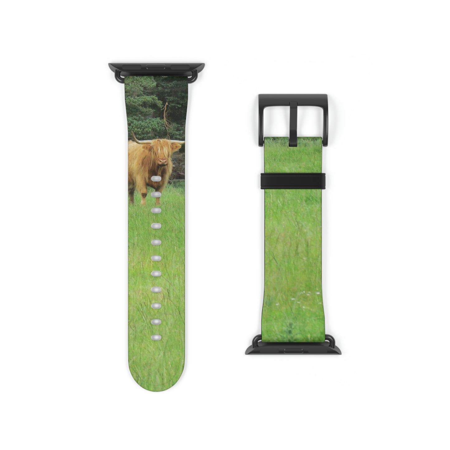 Highland Cattle Watch Band