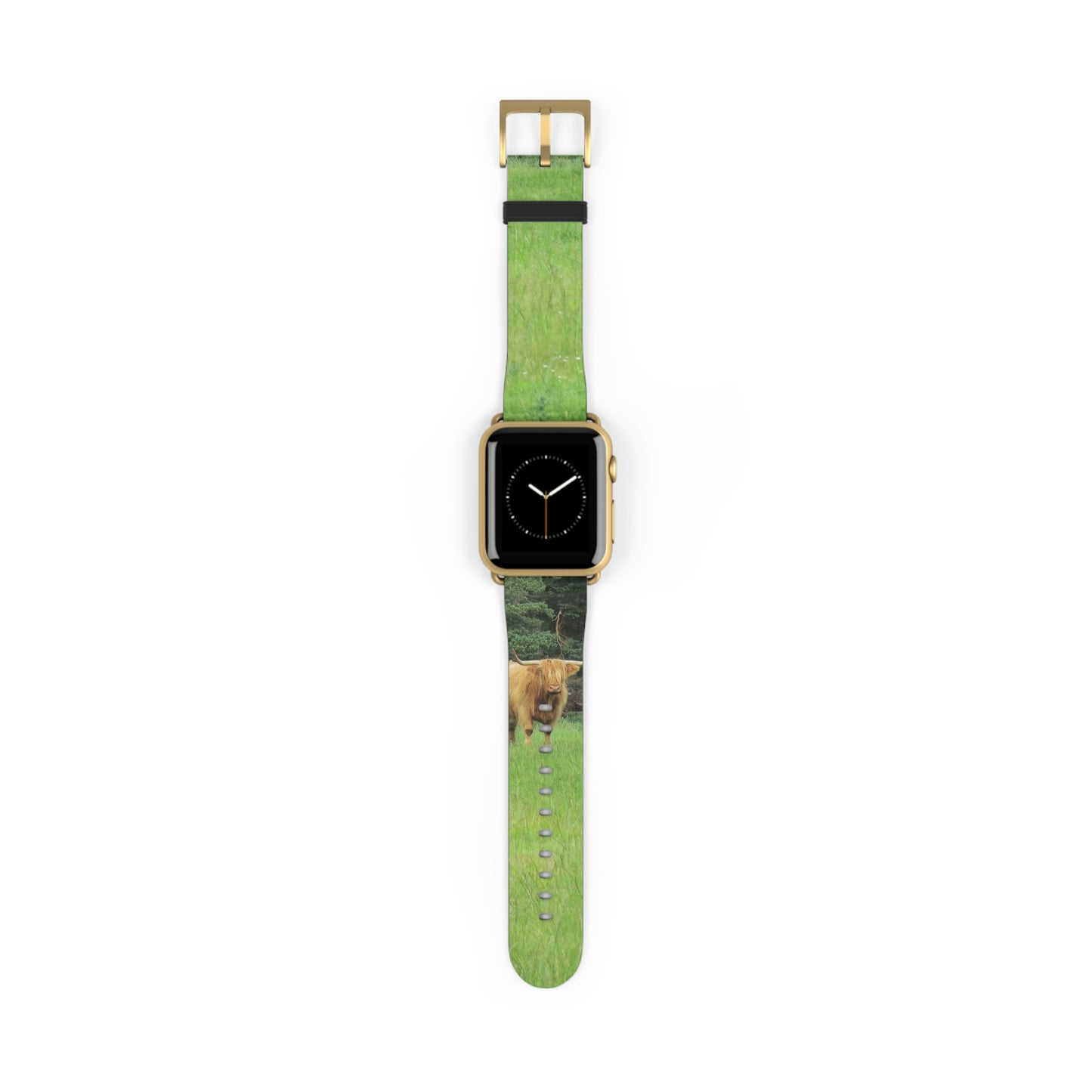 Highland Cattle Watch Band