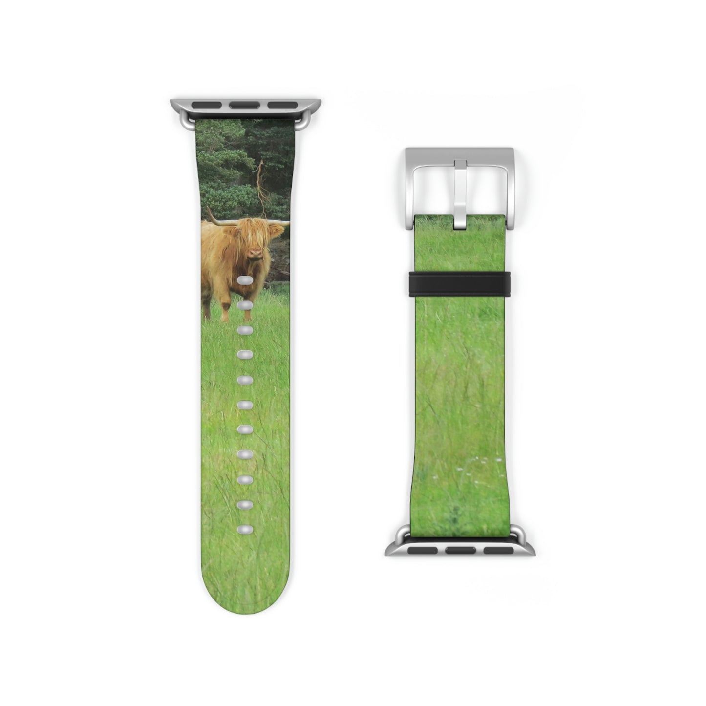 Highland Cattle Watch Band