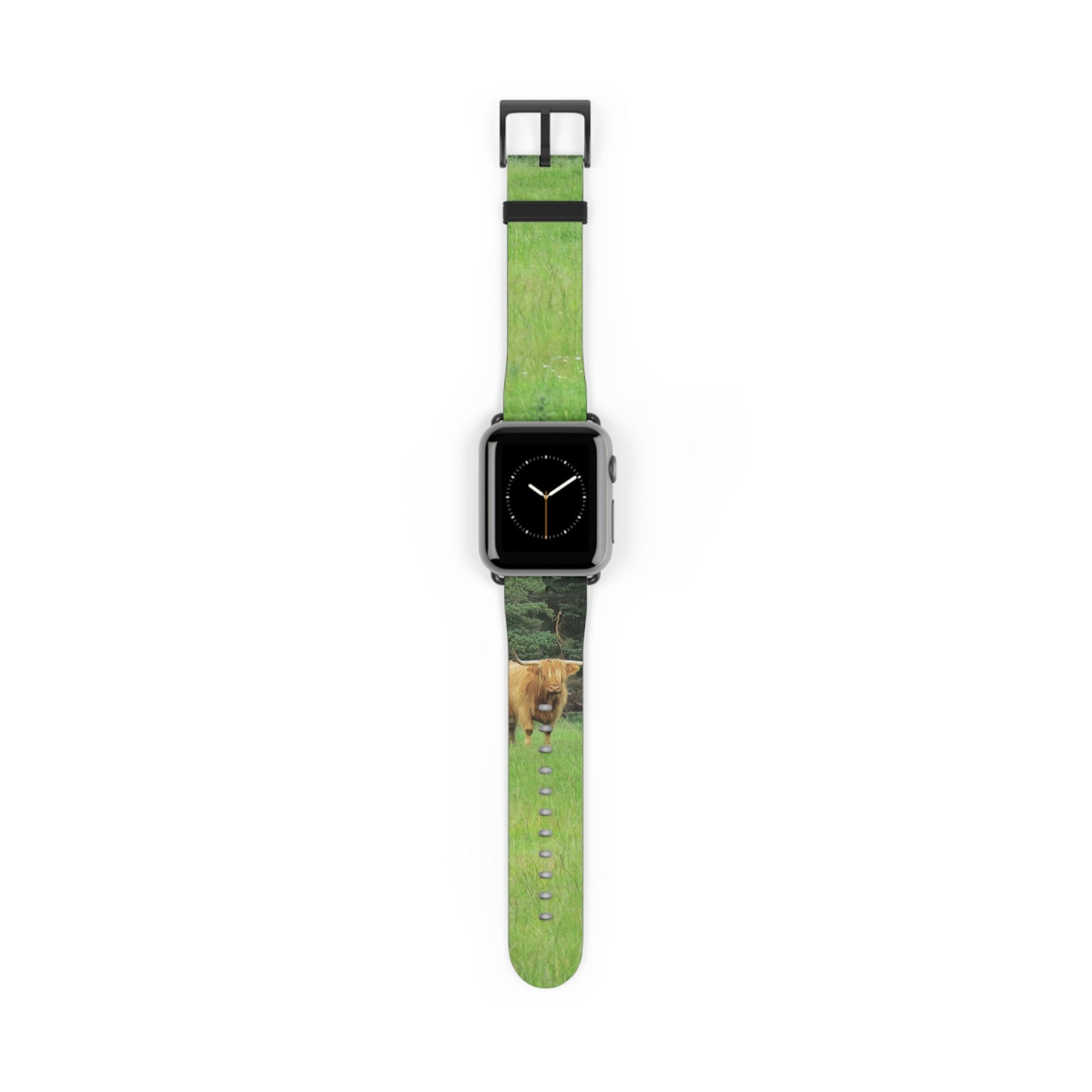 Highland Cattle Watch Band