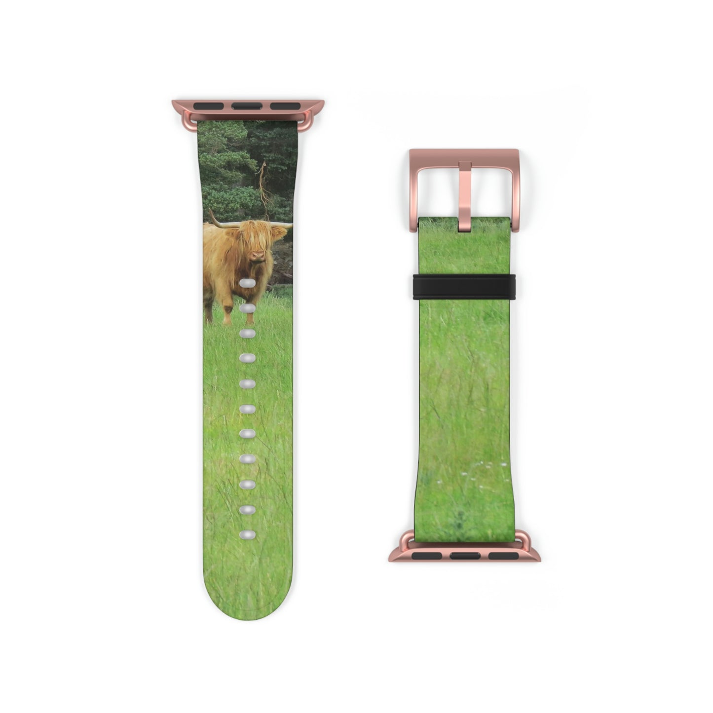 Highland Cattle Watch Band