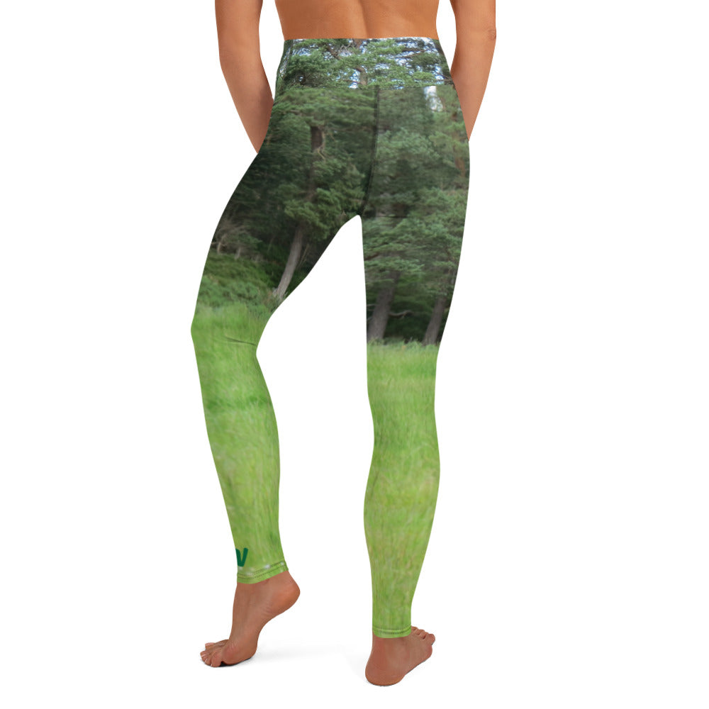 Highland Bull Dark Yoga Leggings