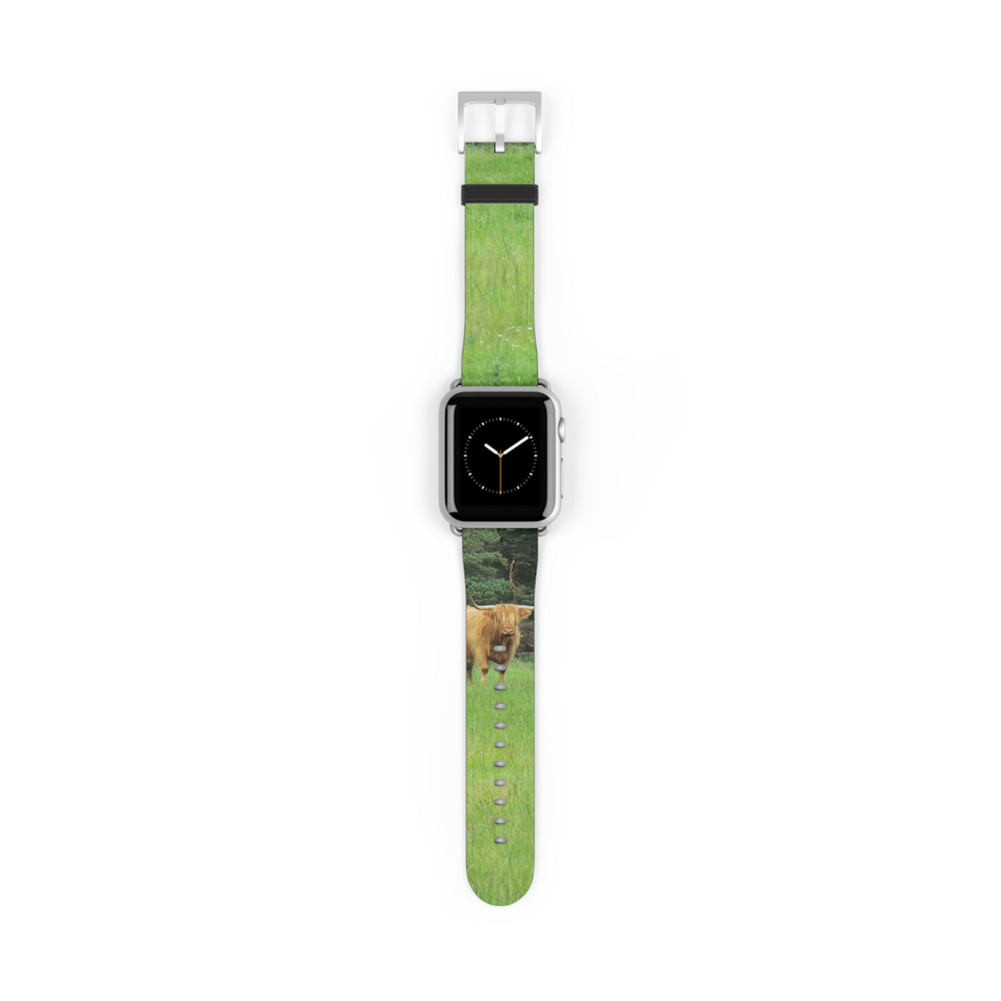 Highland Cattle Watch Band